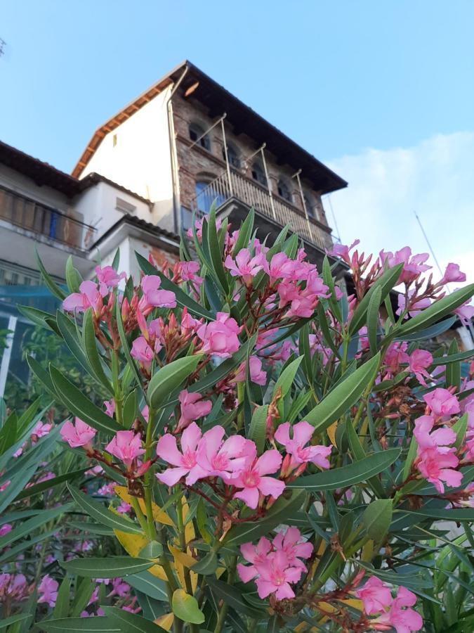 Le Case Di Angelina - Langhe Loft & Suites Farigliano エクステリア 写真